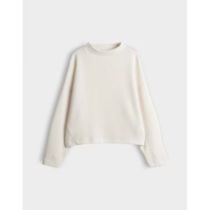 1006 soft cream